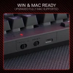 RYLO PRO S142 Membrane Gaming Keyboard & Mouse Tri-Mode Combo - Pilt 9